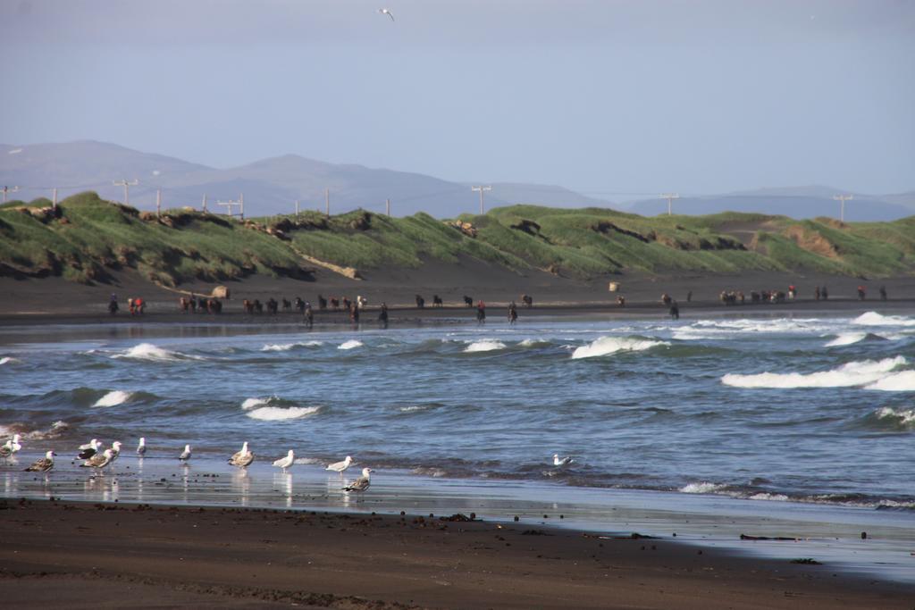 Jonna Guesthouse Þorlákshöfn Kültér fotó